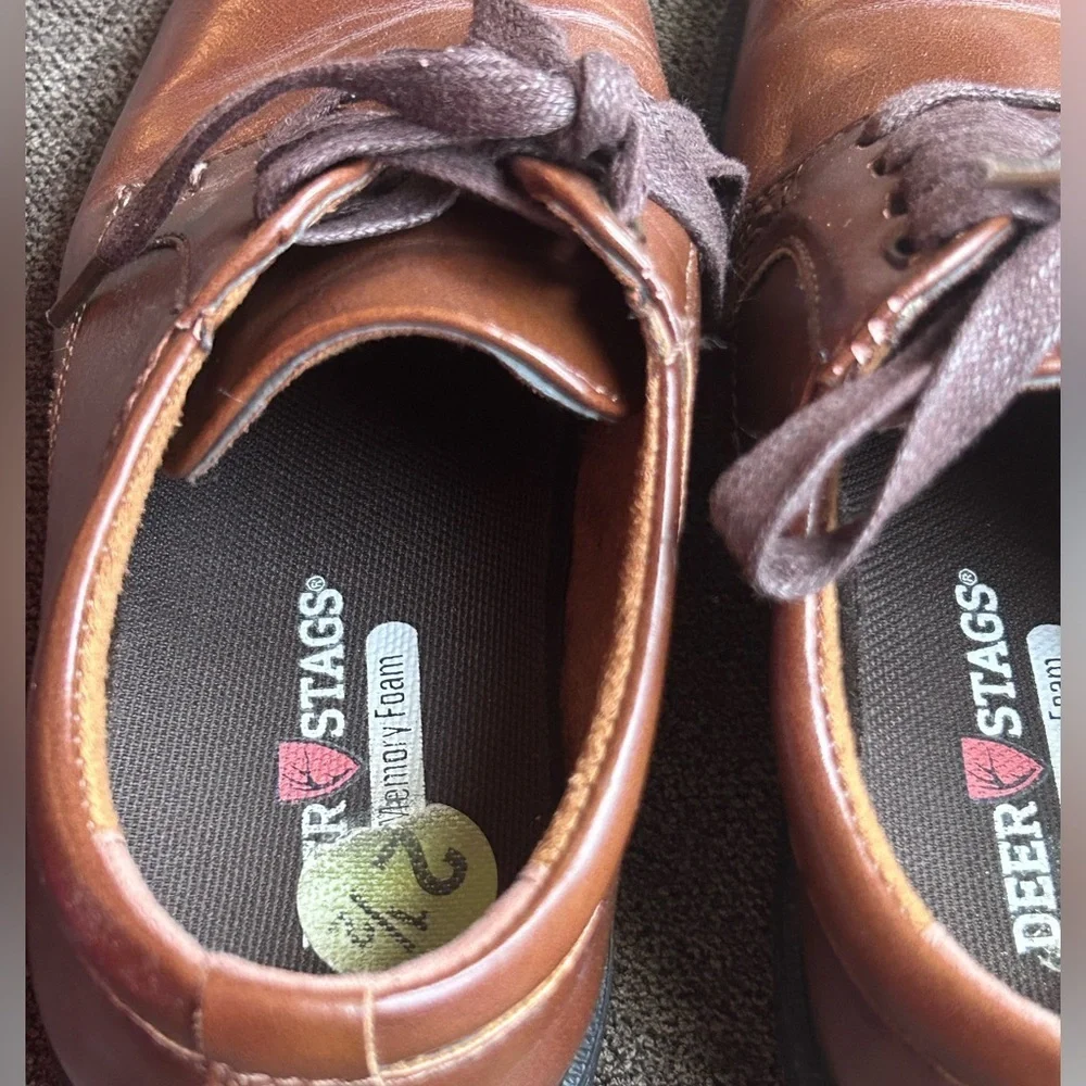 Deer stags brown boy dressing shoes